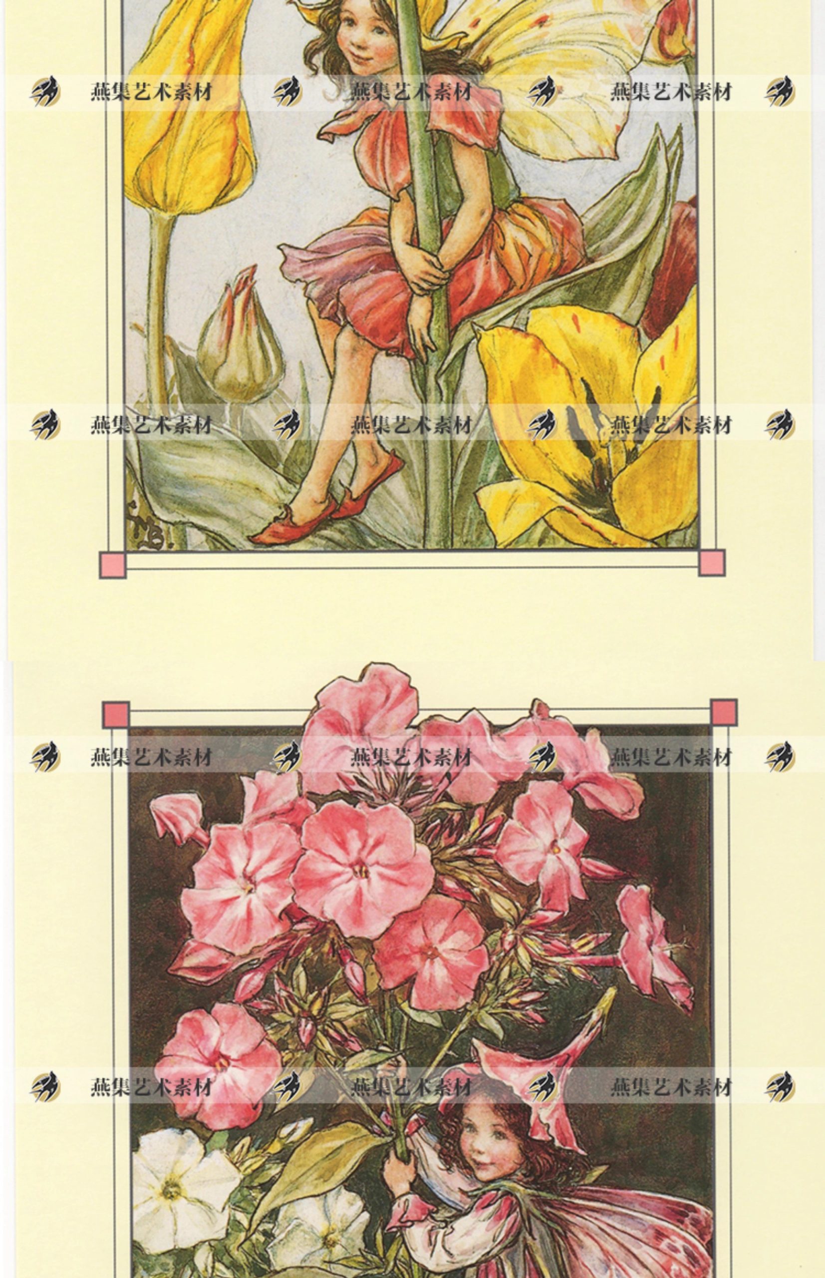 图片[10]-576幅，Cicely Mary Barker可爱童趣花仙手帐 复古童话插画参考电子素材-美肚杀分享