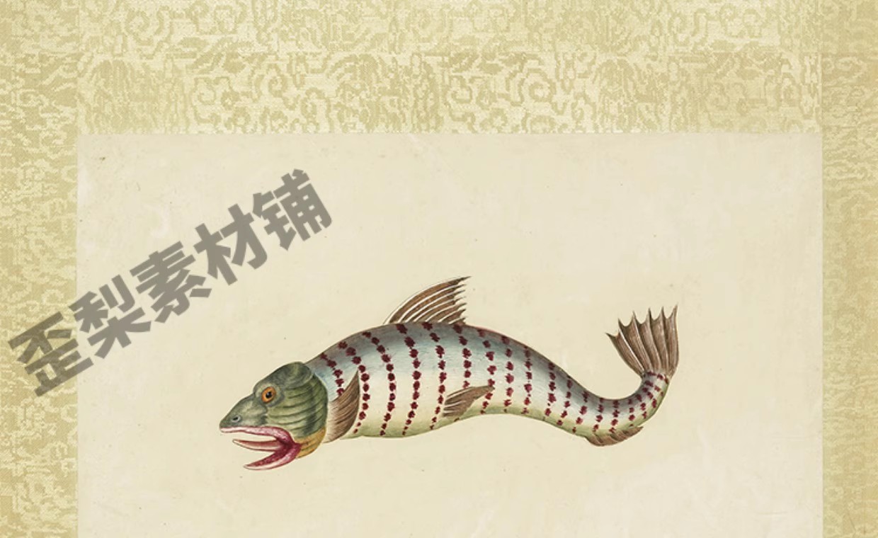 图片[10]-32幅，海怪图记清代古本中国海洋幻想水怪生物水族动物图鉴绘画图片素材-美肚杀分享