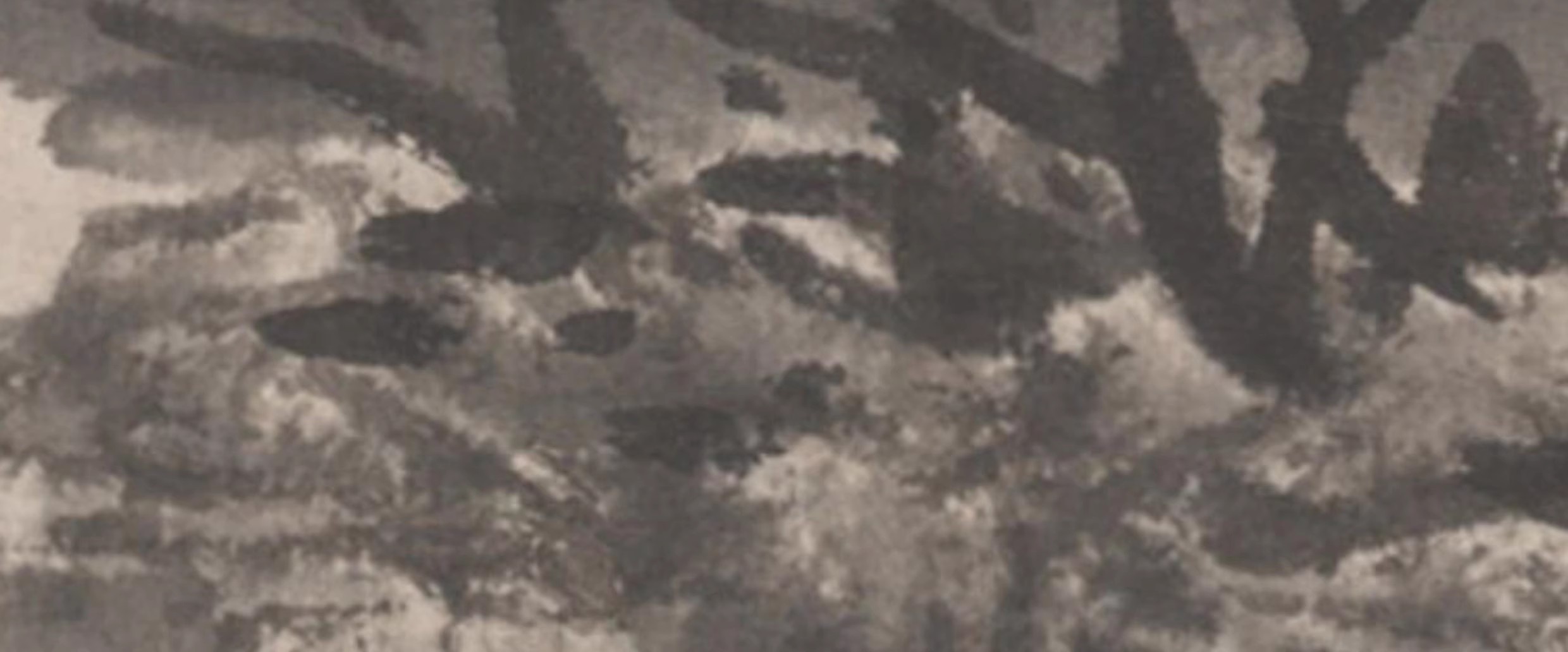 图片[11]-63幅，明 蓝瑛绘画作品合集 白云红树图澄观图松萝晚翠图高清图片素材-美肚杀分享