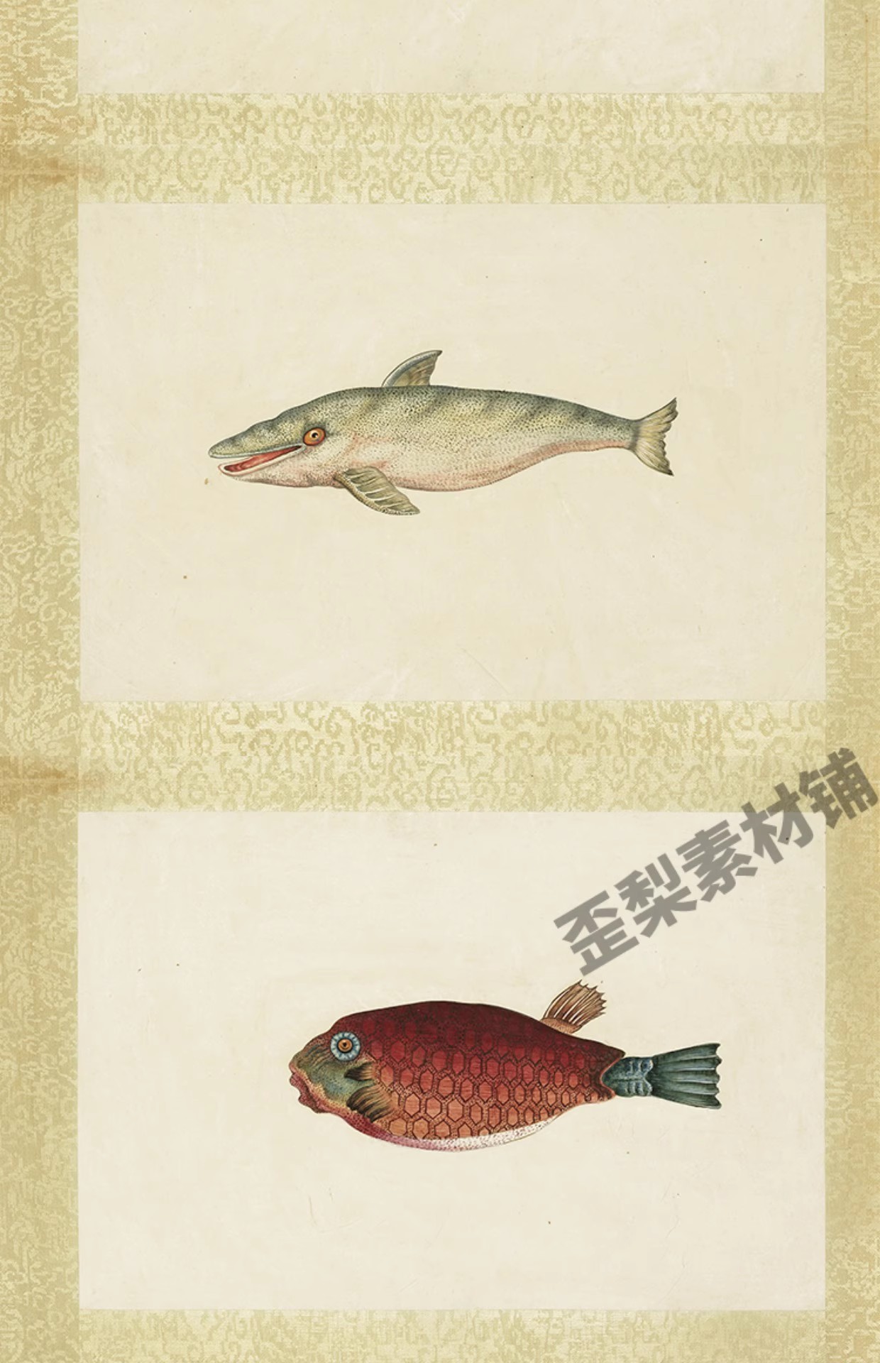 图片[11]-32幅，海怪图记清代古本中国海洋幻想水怪生物水族动物图鉴绘画图片素材-美肚杀分享