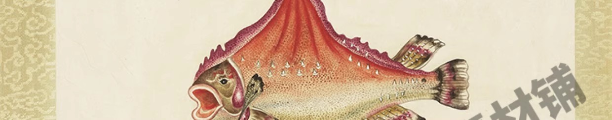 图片[13]-32幅，海怪图记清代古本中国海洋幻想水怪生物水族动物图鉴绘画图片素材-美肚杀分享