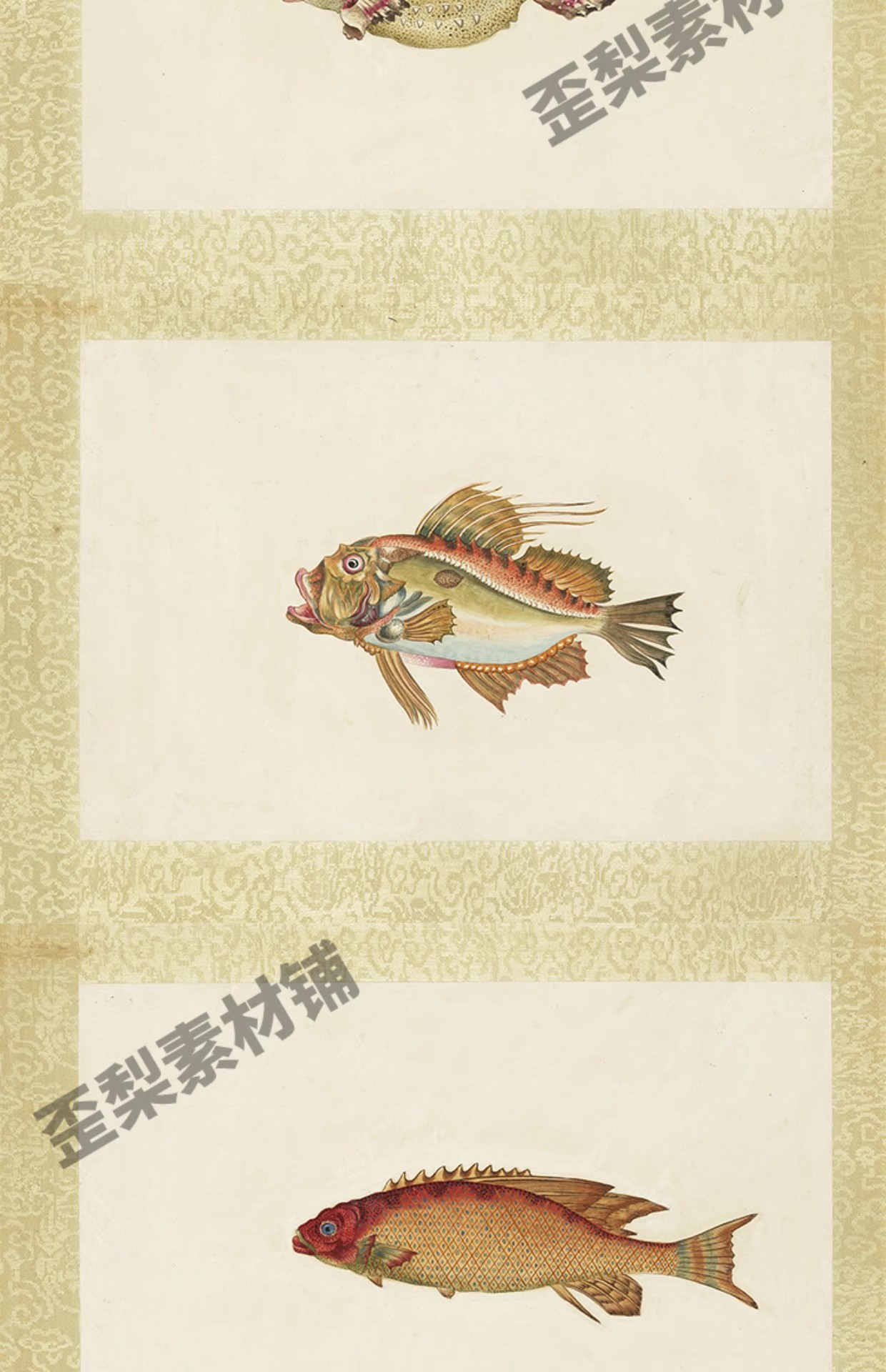 图片[14]-32幅，海怪图记清代古本中国海洋幻想水怪生物水族动物图鉴绘画图片素材-美肚杀分享