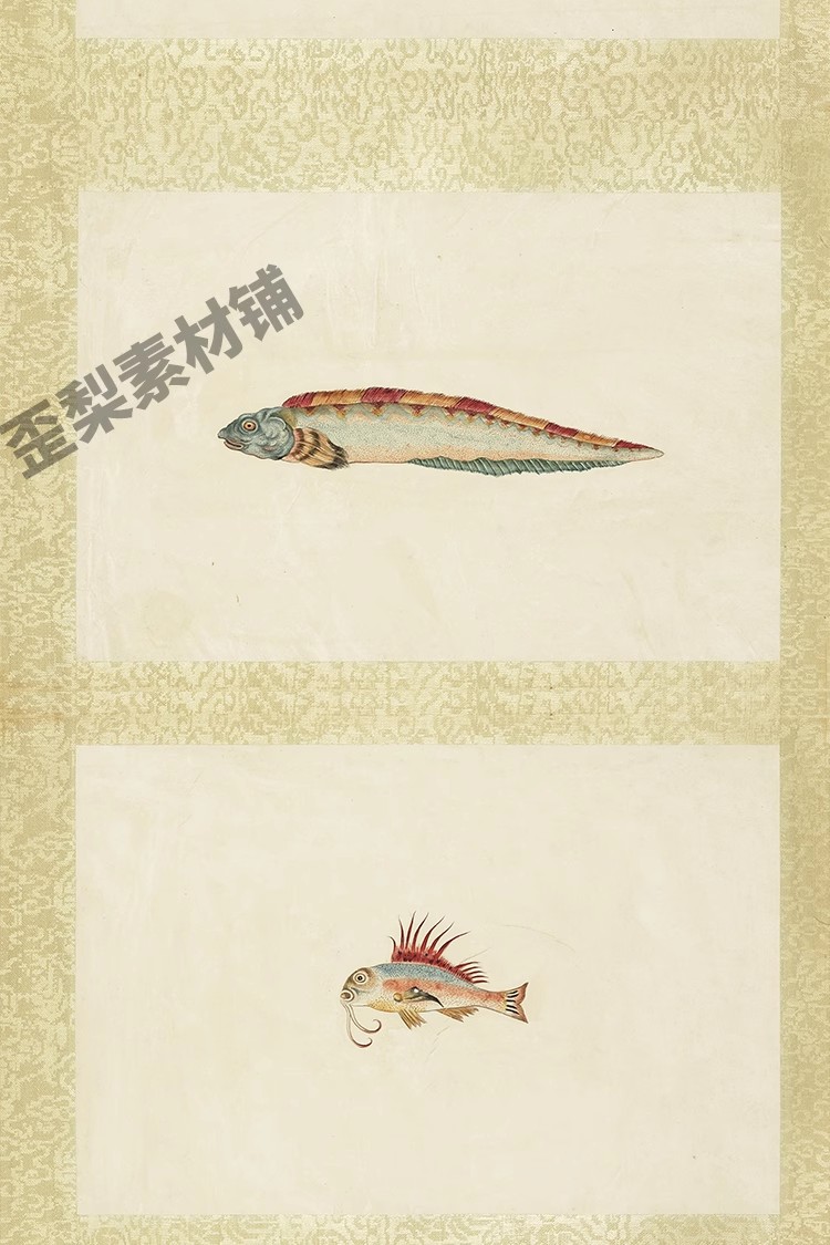 图片[18]-32幅，海怪图记清代古本中国海洋幻想水怪生物水族动物图鉴绘画图片素材-美肚杀分享