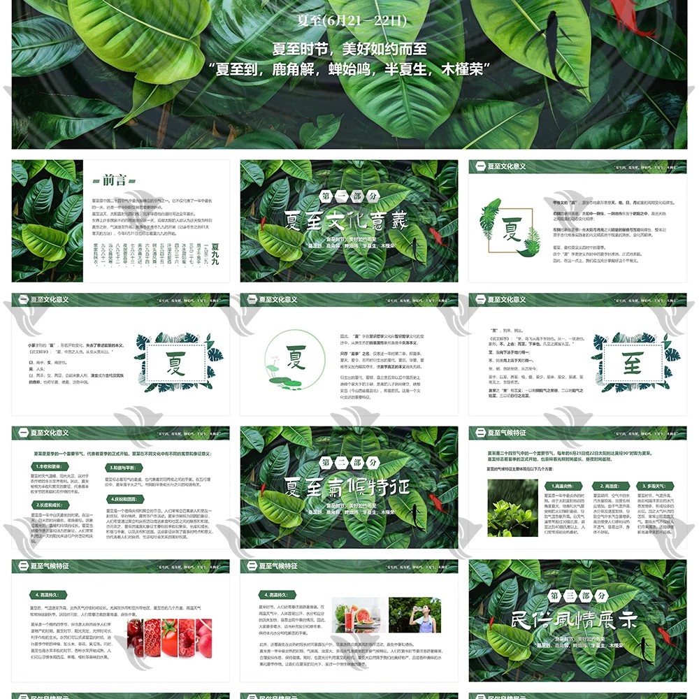 图片[16]-夏天必备！24 节气「夏至荷花」中国风 PPT 模板来袭～绿色小清新配色 + 古风元素，宣传氛围感拉满！-美肚杀分享