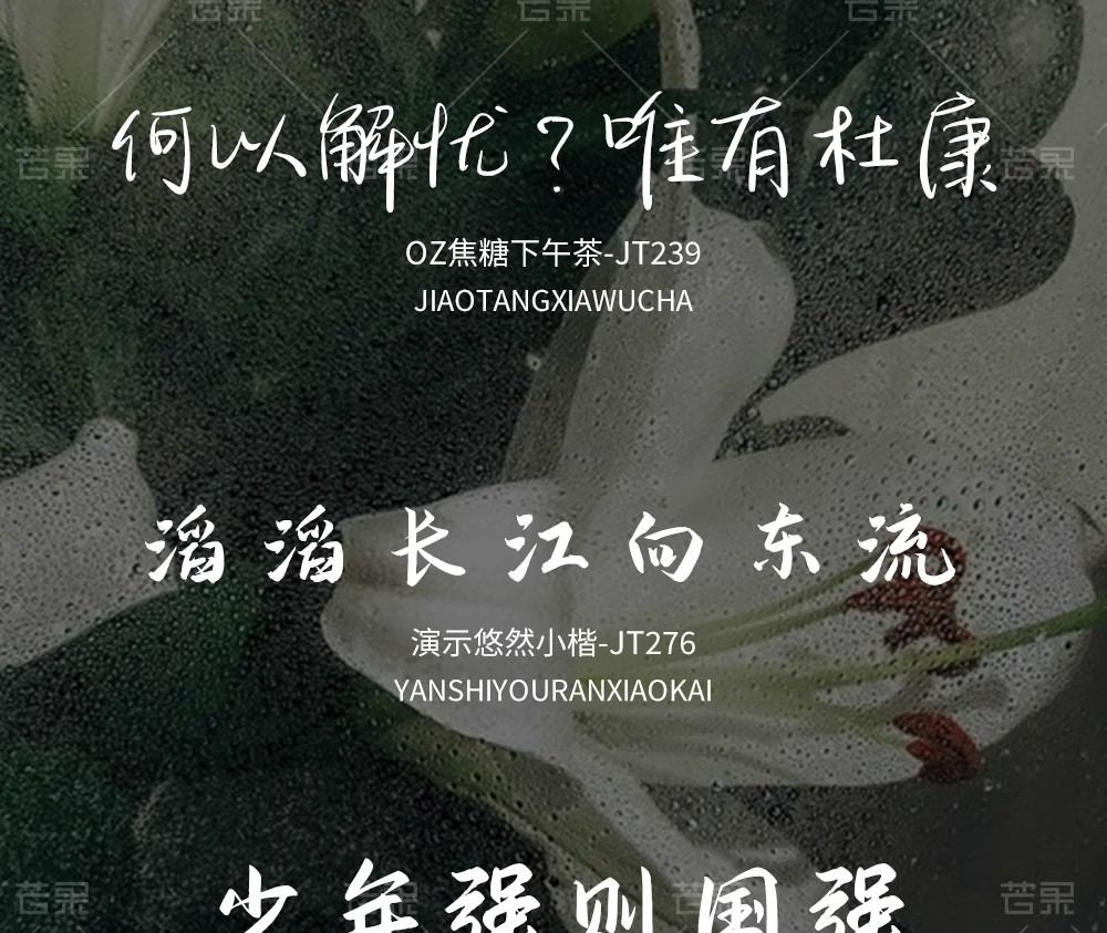 图片[18]-【6000 款字体库】Procreate+PS 通用！AI 设计中英文书法毛笔素材，免费商用无限制-美肚杀分享